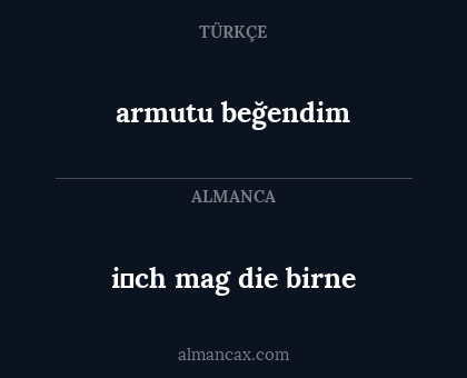 armutu beğendim - i̇ch mag die birne