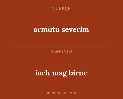 i̇ch mag birne - armutu severim