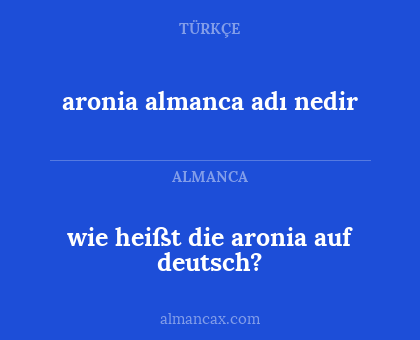 aronia almanca adı nedir - wie heißt die aronia auf deutsch?