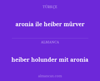 aronia ile heiber mürver - heiber holunder mit aronia