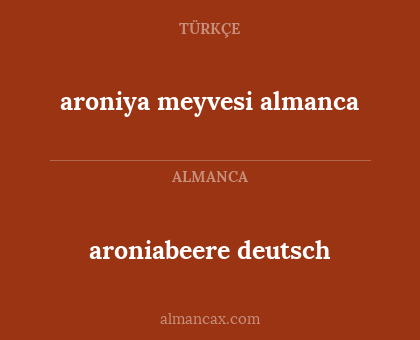 aroniya meyvesi almanca - aroniabeere deutsch