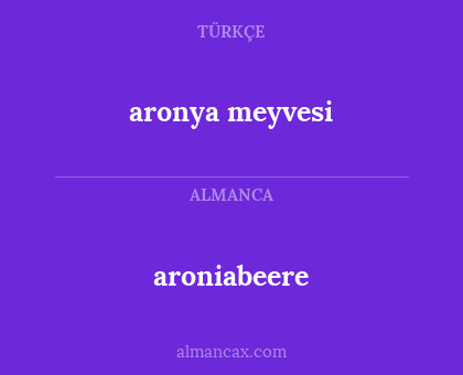 aroniabeere - aronya meyvesi
