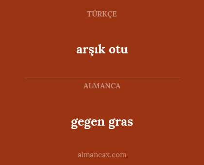 gegen gras - arşık otu