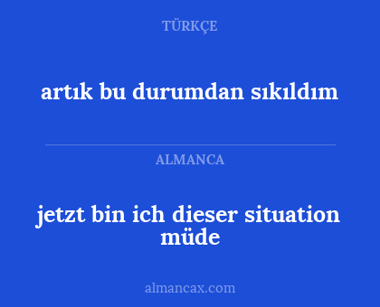 jetzt bin ich dieser situation müde - artık bu durumdan sıkıldım