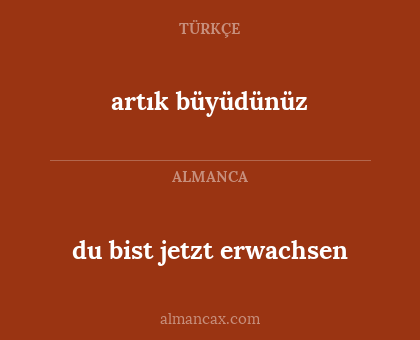artık büyüdünüz - du bist jetzt erwachsen