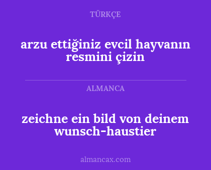 zeichne ein bild von deinem wunsch-haustier - arzu ettiğiniz evcil hayvanın resmini çizin