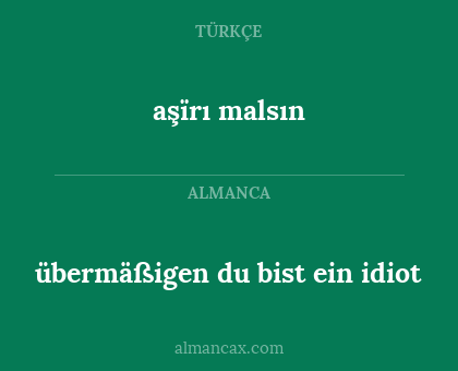 übermäßigen du bist ein idiot - aşïrı malsın