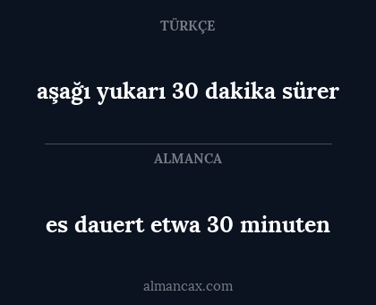 es dauert etwa 30 minuten - aşağı yukarı 30 dakika sürer