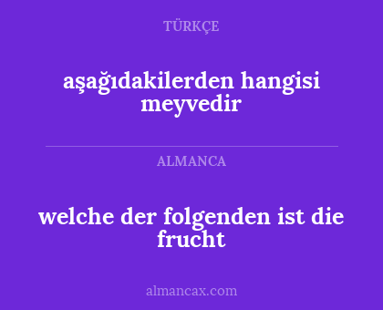 aşağıdakilerden hangisi meyvedir - welche der folgenden ist die frucht