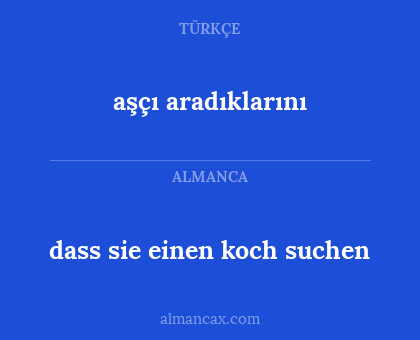 aşçı aradıklarını - dass sie einen koch suchen