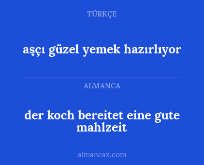 aşçı güzel yemek hazırlıyor - der koch bereitet eine gute mahlzeit