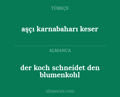 der koch schneidet den blumenkohl - aşçı karnabaharı keser