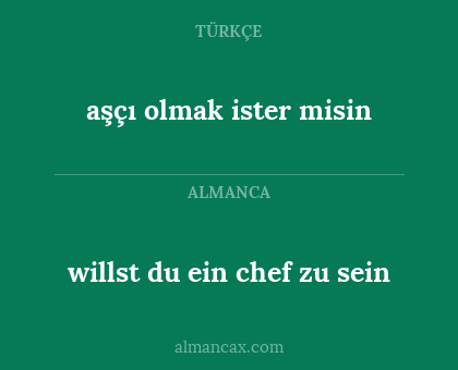 willst du ein chef zu sein - aşçı olmak ister misin
