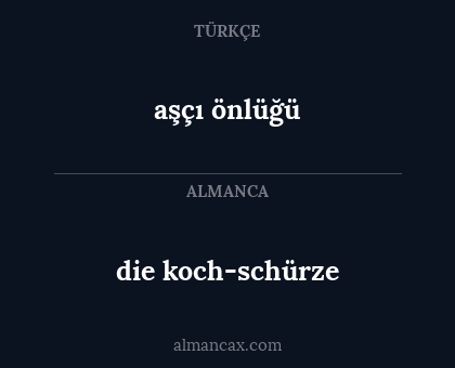 aşçı önlüğü - die koch-schürze