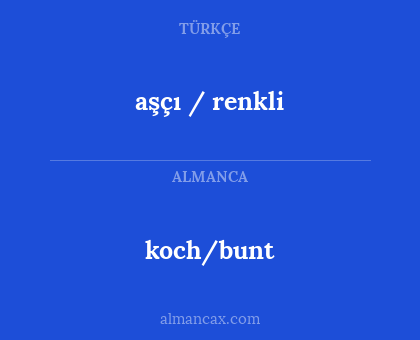 koch/bunt - aşçı / renkli