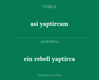 asi yaptircam - ein rebell yaptirca