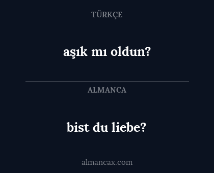 bist du liebe? - aşık mı oldun?