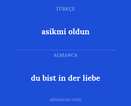 du bist in der liebe - asikmi oldun