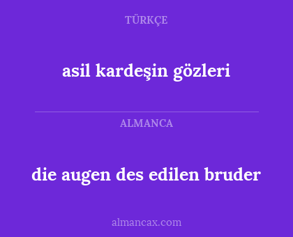 die augen des edilen bruder - asil kardeşin gözleri