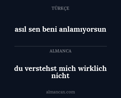 asıl sen beni anlamıyorsun - du verstehst mich wirklich nicht