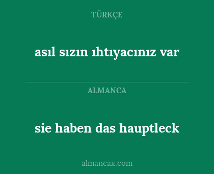 asıl sızın ıhtıyacınız var - sie haben das hauptleck