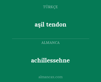 aşil tendon - achillessehne