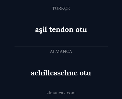 aşil tendon otu - achillessehne otu
