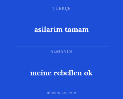 asilarim tamam - meine rebellen ok