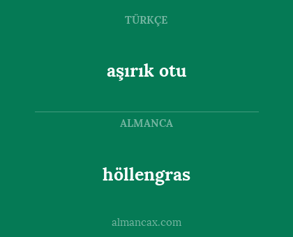 höllengras - aşırık otu
