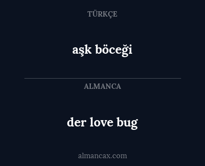 der love bug - aşk böceği
