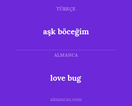 aşk böceğim - love bug