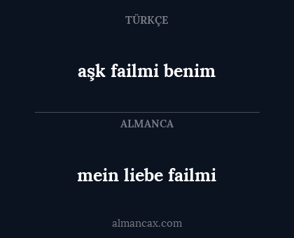 mein liebe failmi - aşk failmi benim