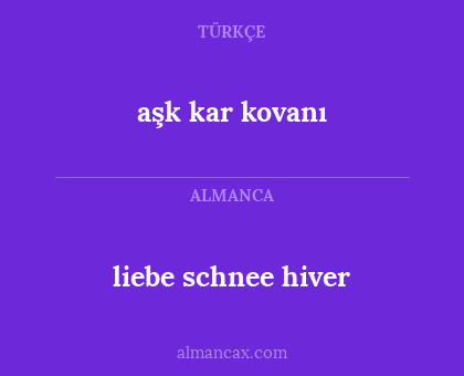 aşk kar kovanı - liebe schnee hiver