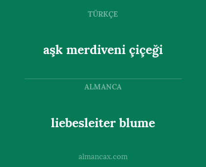 aşk merdiveni çiçeği - liebesleiter blume