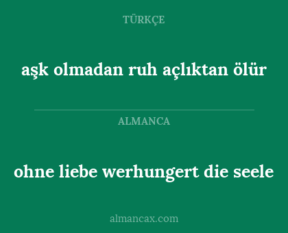 ohne liebe werhungert die seele - aşk olmadan ruh açlıktan ölür