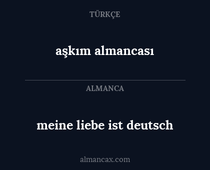 meine liebe ist deutsch - aşkım almancası