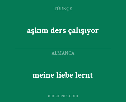 meine liebe lernt - aşkım ders çalışıyor