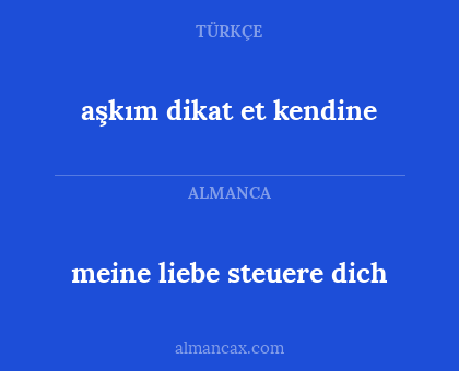 meine liebe steuere dich - aşkım dikat et kendine