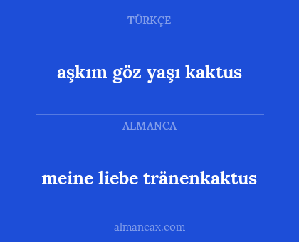 meine liebe tränenkaktus - aşkım göz yaşı kaktus