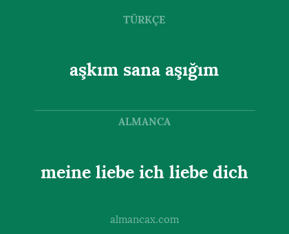 meine liebe ich liebe dich - aşkım sana aşığım