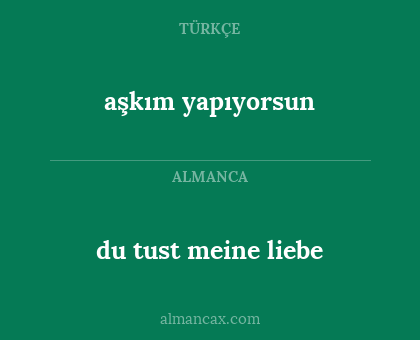 du tust meine liebe - aşkım yapıyorsun