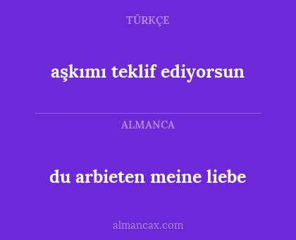 du arbieten meine liebe - aşkımı teklif ediyorsun