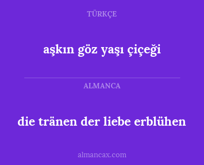 die tränen der liebe erblühen - aşkın göz yaşı çiçeği