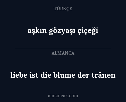 liebe ist die blume der tränen - aşkın gözyaşı çiçeği