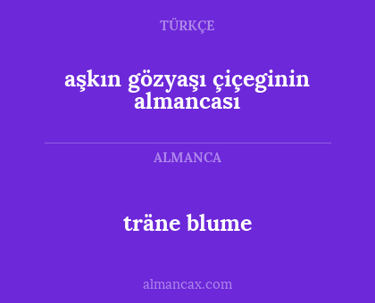 träne blume - aşkın gözyaşı çiçeginin almancası