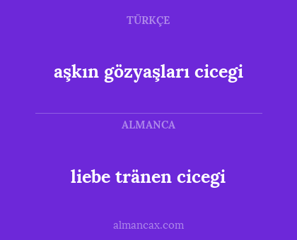 liebe tränen cicegi - aşkın gözyaşları cicegi