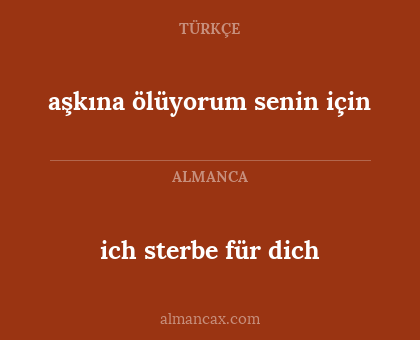 ich sterbe für dich - aşkına ölüyorum senin için