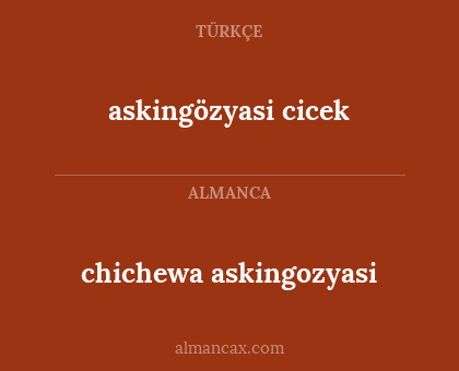 chichewa askingozyasi - askingözyasi cicek