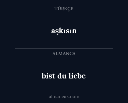 bist du liebe - aşkısın
