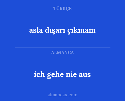 ich gehe nie aus - asla dışarı çıkmam